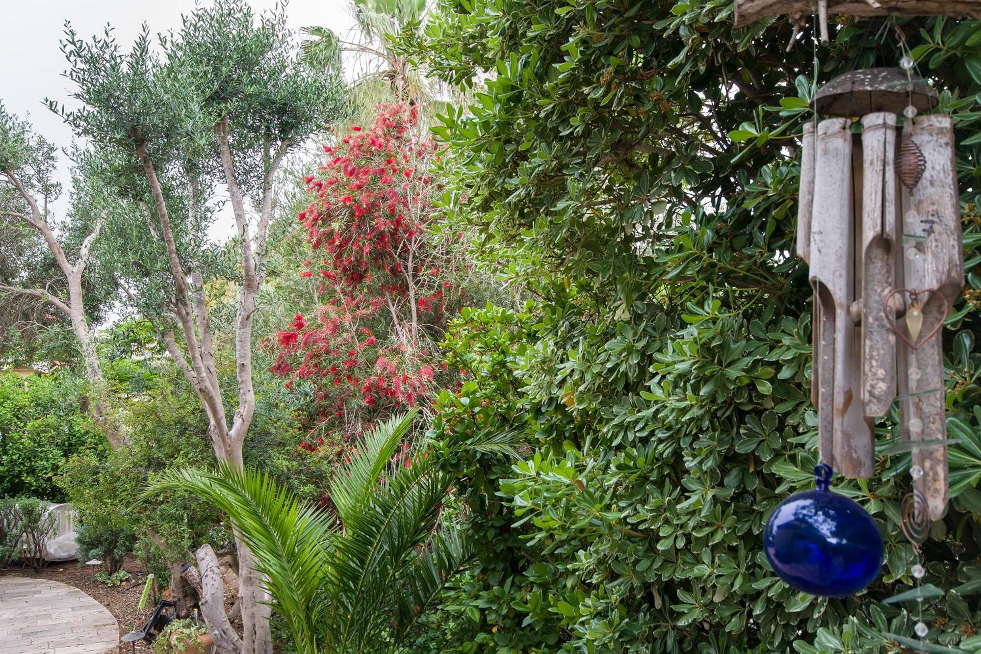 Homey Suite In Zichron Yaakov Zihron Yaakov Exterior foto